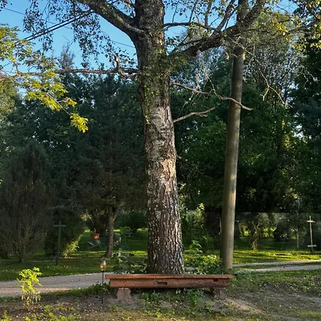Luksustelt Meditatsioonikoobas Puka